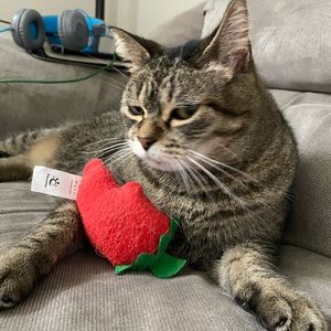 Meet your Posher, Kaylee